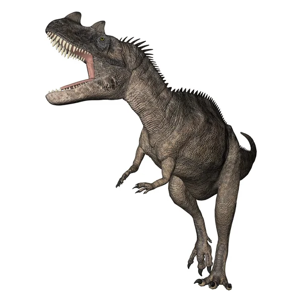 화이트에 3d 렌더링 공룡 Ceratosaurus — 스톡 사진