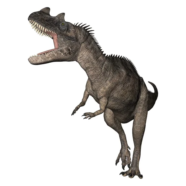 3D rendering dinoszaurusz Ceratosaurus-fehér — Stock Fotó