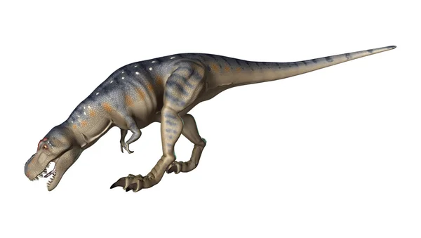 3D renderizado dinosaurio tiranosaurio en blanco —  Fotos de Stock