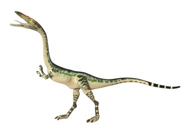3D render dinozor Coelophysis beyaz