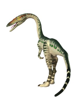 3D render dinozor Coelophysis beyaz