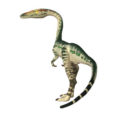 3D render dinozor Coelophysis beyaz