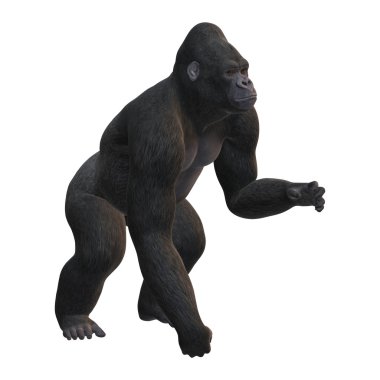 3D render Gorilla beyaz günü