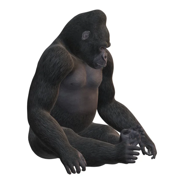 在白色的 3d 渲染大猩猩。 — 图库照片