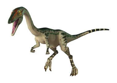 3D render dinozor Coelophysis beyaz