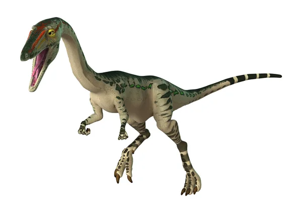 Coelófisis de dinosaurio de renderización 3D en blanco —  Fotos de Stock