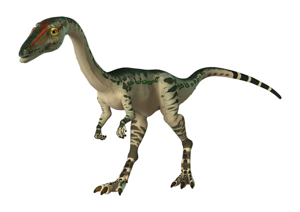 3D Rendering Dinosauro Coelophysis su bianco — Foto Stock