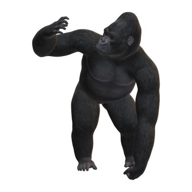 3D render Gorilla beyaz günü