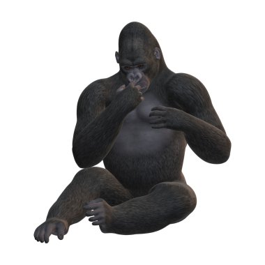 3D render Gorilla beyaz günü