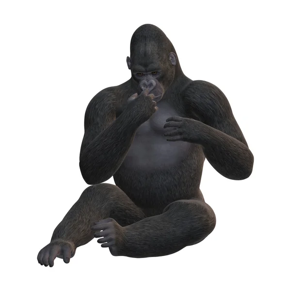 3D rendering Gorilla på vit — Stockfoto