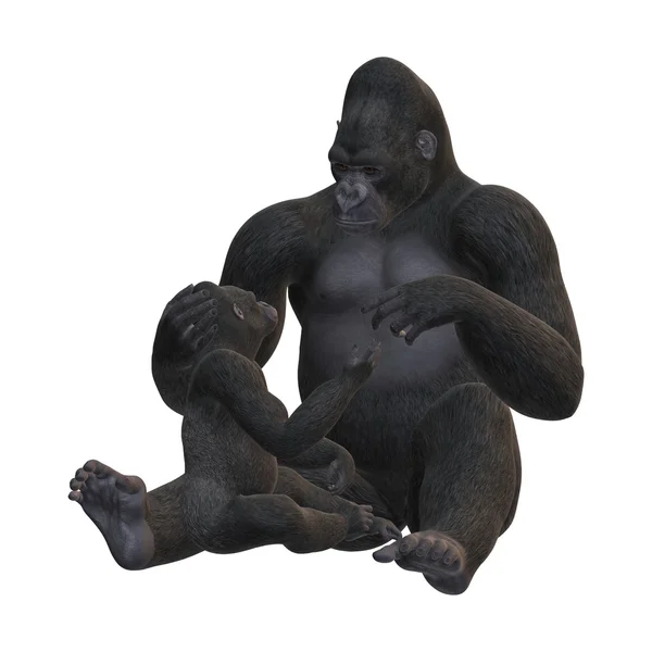 3D rendering gorilla's op wit — Stockfoto