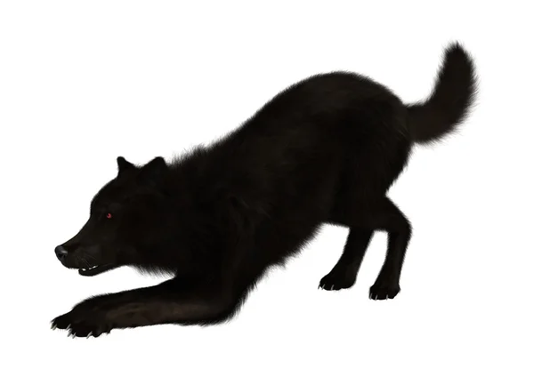 3D rendering Black Wolf op wit — Stockfoto