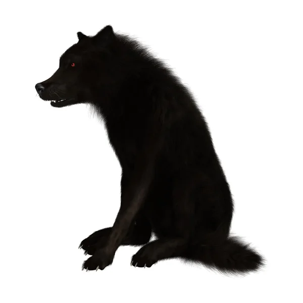 3D renderização lobo preto no branco — Fotografia de Stock
