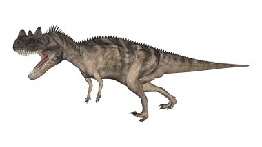 3D render dinozor Ceratosaurus beyaz