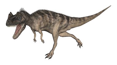 3D render dinozor Ceratosaurus beyaz