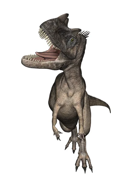 3D rendering dinoszaurusz Ceratosaurus-fehér — Stock Fotó