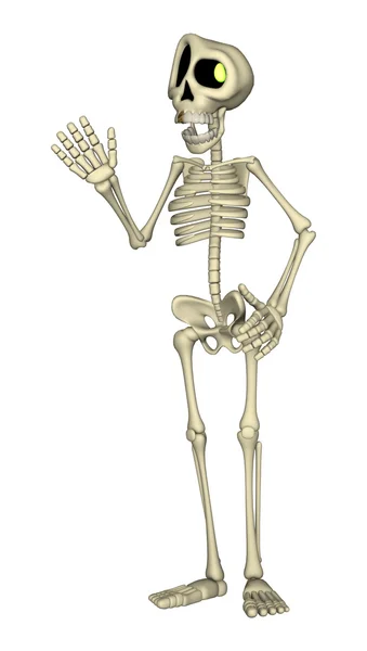 Esqueleto humano de renderização 3D em branco — Fotografia de Stock