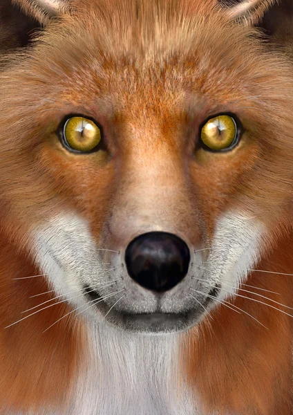 3D renderização Red Fox — Fotografia de Stock