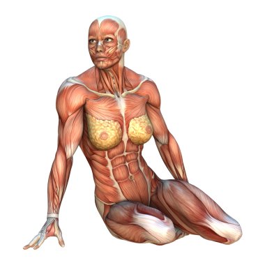 3D render kas haritalar