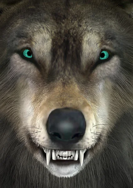 3D рендеринга волк — стоковое фото