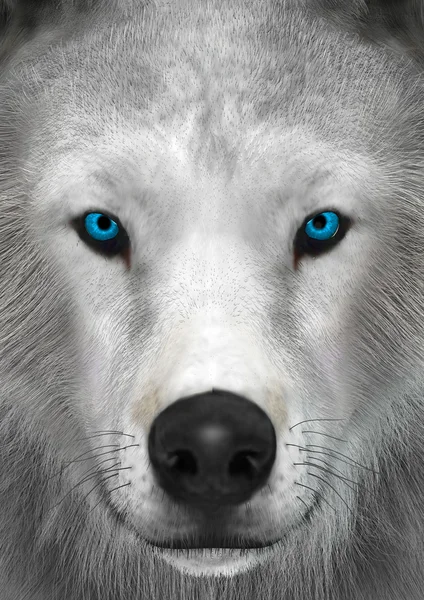 3D renderowania Arctic Wolf — Zdjęcie stockowe