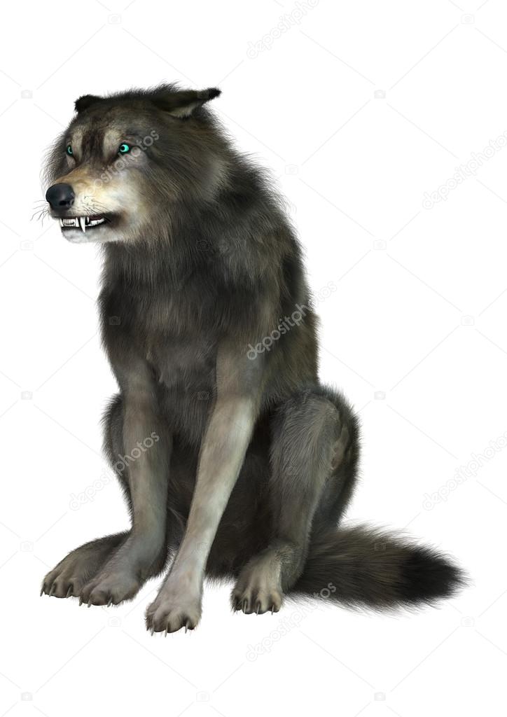 3D Rendering Wolf on White