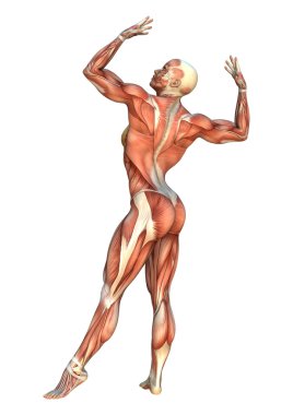 3D render kas haritalar