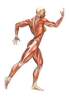 3D render kas haritalar