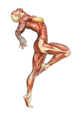 3D render kas haritalar