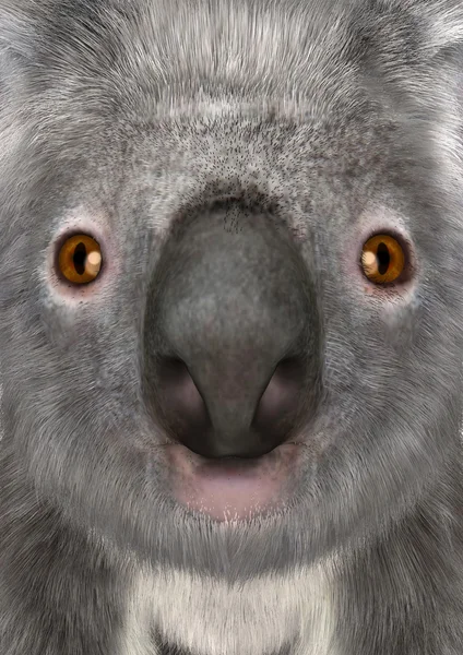 Rendering 3D Koala Bear — Foto Stock