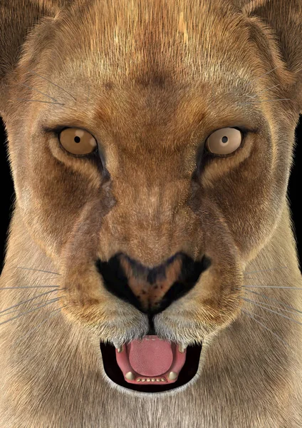 3D render dişi aslan — Stok fotoğraf