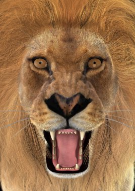 3D render erkek aslan