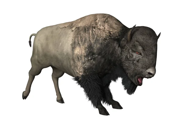 Rendu 3D Bison sur Blanc — Photo