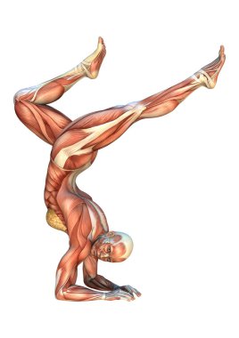 3D render kas haritalar