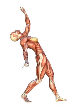 3D render kas haritalar