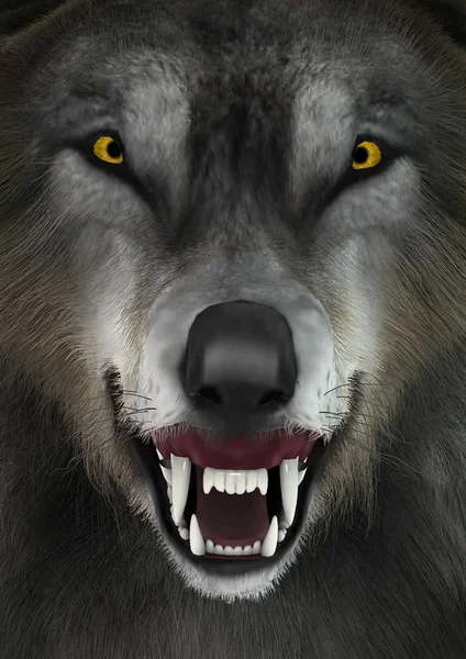 3D rendering Wolf — Stockfoto