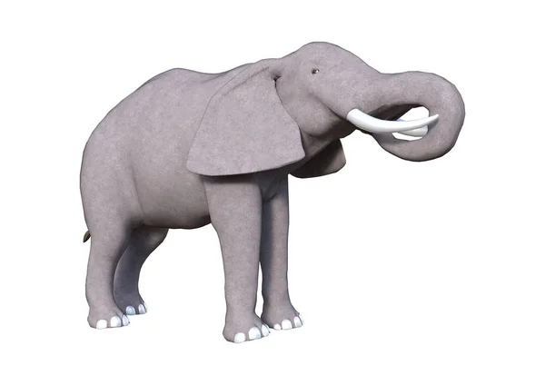 白の 3 d のレンダリングの象 — ストック写真