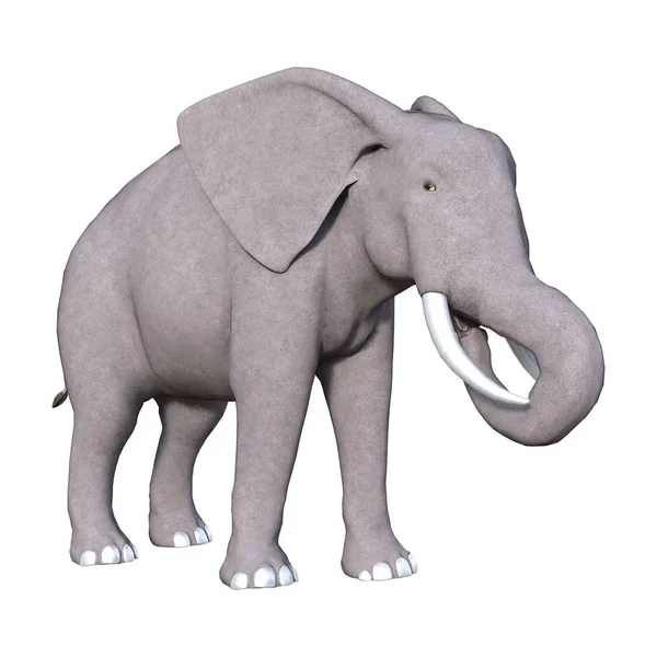 Representación 3D elefante en blanco —  Fotos de Stock