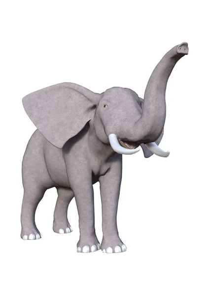 3D Rendering Elephant on White — Stock Photo, Image