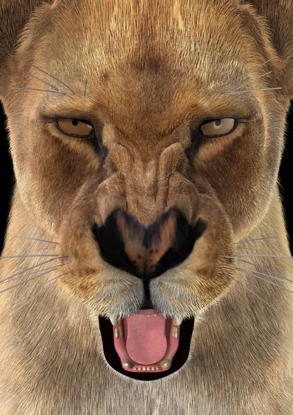 3D rendering kvinnliga lejon — Stockfoto
