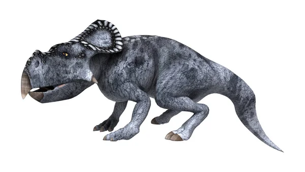 3D rendering δεινόσαυρου Πρωτοκεράτοπα σε λευκό — Φωτογραφία Αρχείου