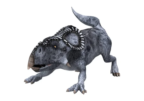 3D Rendering Dinosaurier Protoceratops auf Weiß — Stockfoto