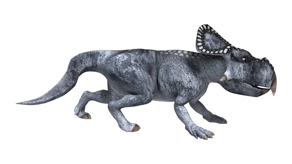 3D-рендеринг протоцератопсов динозавров на белом — стоковое фото