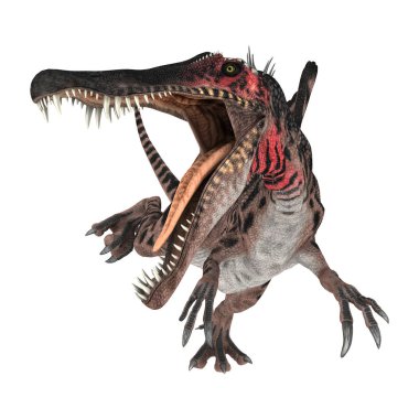 3D render dinozor Spinosaurus beyaz