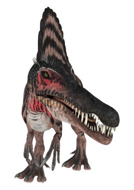 3D render dinozor Spinosaurus beyaz