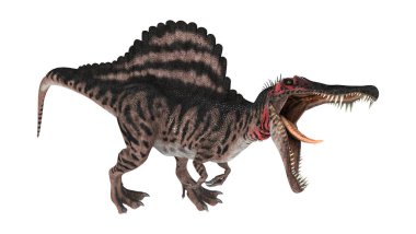 3D render dinozor Spinosaurus beyaz