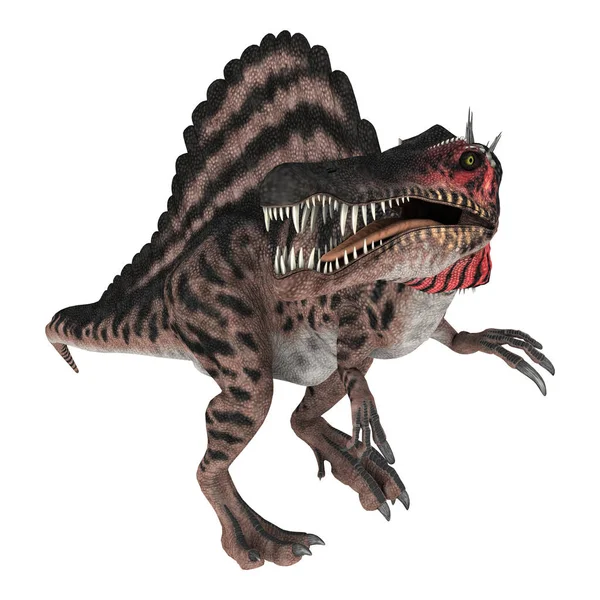Spinosauro del dinosauro di rendering 3D su bianco — Foto Stock