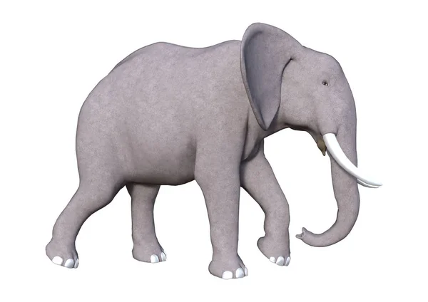 白の 3 d のレンダリングの象 — ストック写真