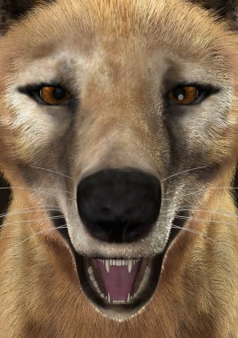 3D işleme Thylacine
