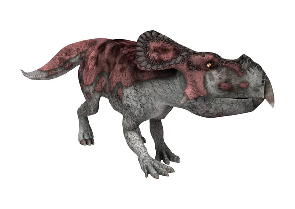 3D render dinozor Protoceratops beyaz — Stok fotoğraf